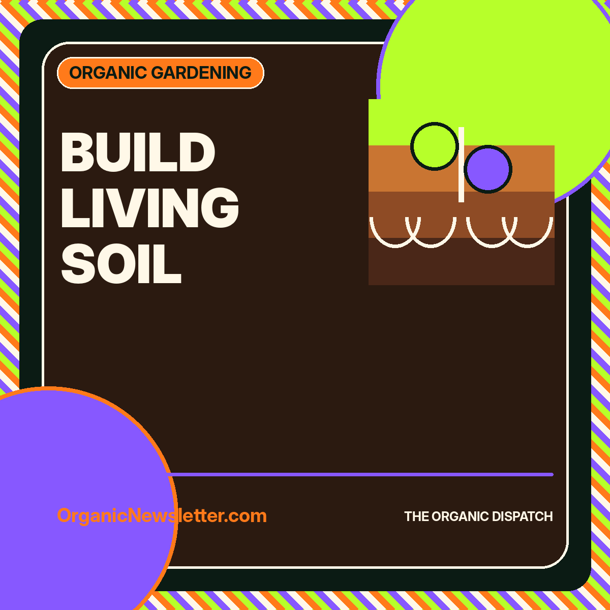 Build Living Soil featured image
