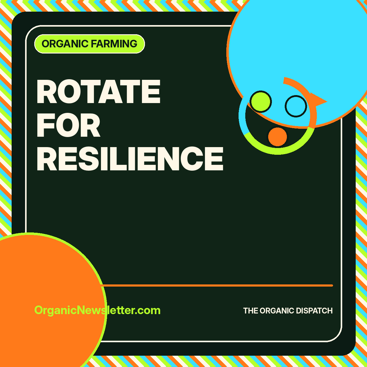Rotate for Resilience featured image
