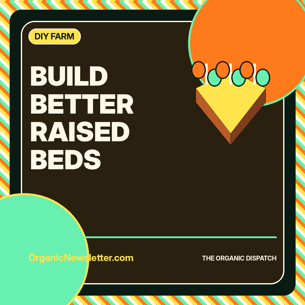 Build Better Raised Beds featured image
