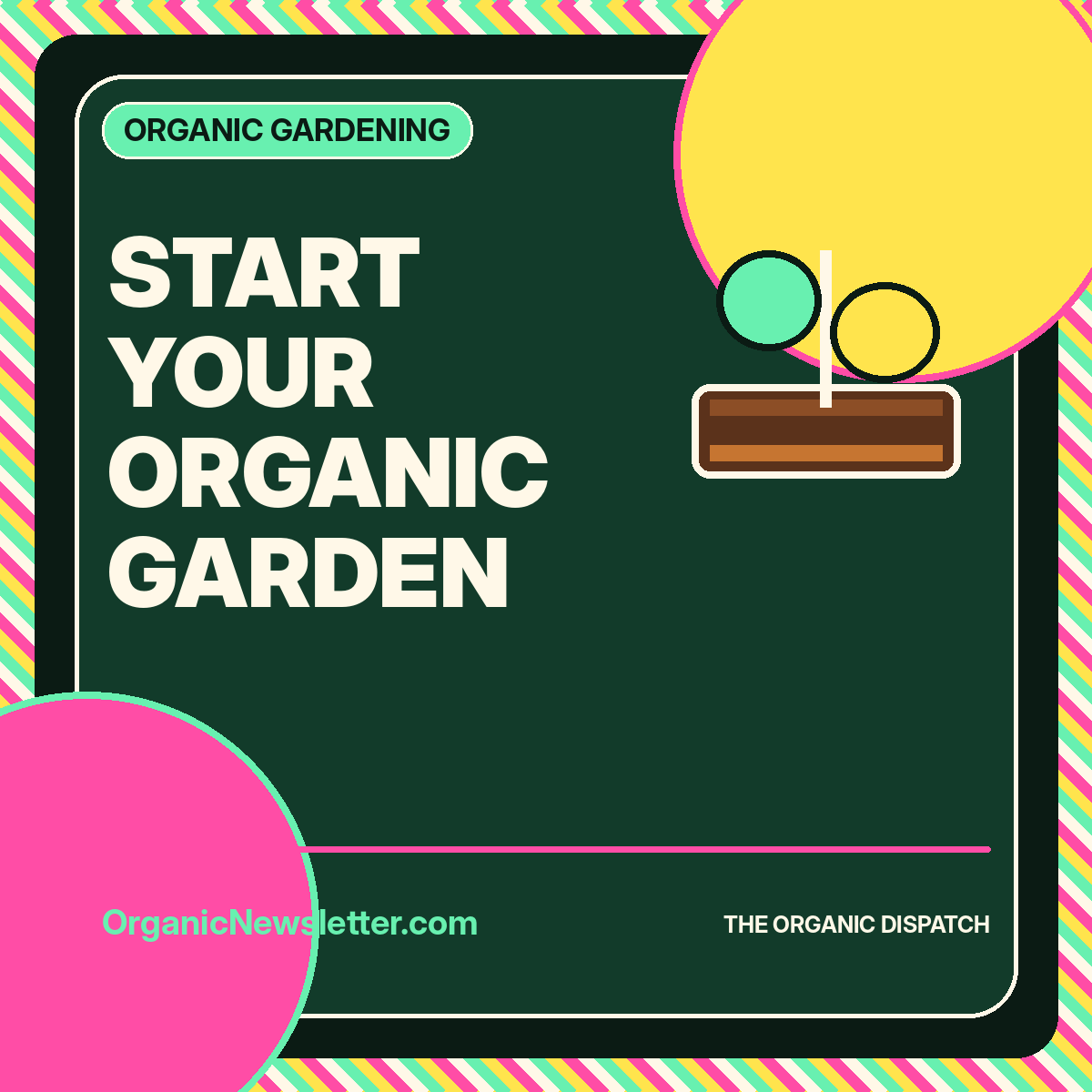 Start Your Organic Garden featured image